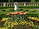 Cibuloviny v Květné zahradě v Kroměříži rozkvetly o měsíc dřív, než je obvyklé