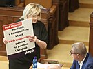 Schze Snmovny svolaná z podntu opoziního hnutí ANO pod názvem Vymlené...