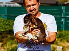 Rodina Vlastimila Such�ho chov� v Hrub�ic�ch na Prost�jovsku zakrsl� kr�l�ky...