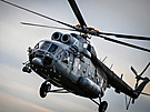Mi-8T (technika litevské armády)