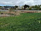 Plocha mezi Havl��kovou a Lede�skou ulic� je upravena sp�e do p��rodn� ne�...
