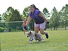 Flyball je sport i zábava pro temperamentní psy vech velikostí i plemen.