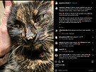 Eva Pavlová informovala o nemoci Micky na Instagramu (duben 2024)