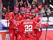 Tinetí hokejisté se radují z gólu Patrika Hrehoráka proti Pardubicím.