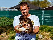 Rodina Vlastimila Suchého chová v Hrubicích na Prostjovsku zakrslé králíky...