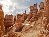 Nádherná Navajo Loop Trail je souástí utaského národního parku Bryce Canyon....