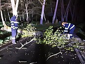 Hasii v Karlovarském kraji bhem vtrné noci pedevím odstraovali stromy...