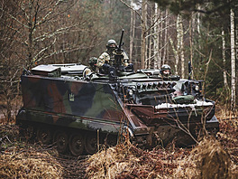 M113 (výzbroj litevské armády)