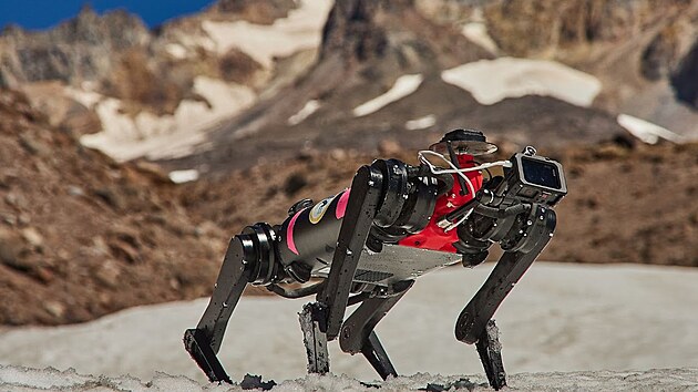 NASA spolupracuje s nkolika univerzitami na vvoji robotickch "psch" pomocnk pro cestu na Msc.