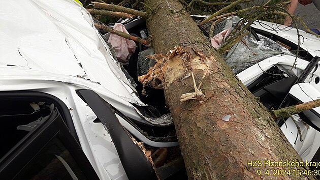 U Rokycan spadl strom na projdjc auto. Zrannou idiku peveli zchrani do nemocnice. (9. dubna 2024).