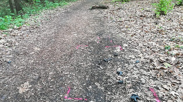 Policisté hledají svdky, kteí by mohli objasnit tragickou nehodu cyklisty na...