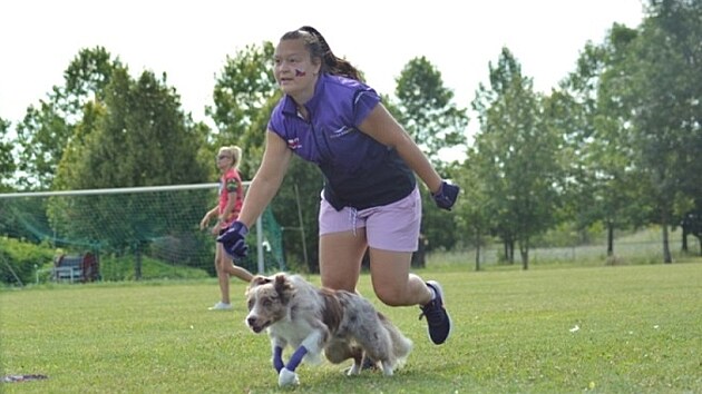 Flyball je sport i zbava pro temperamentn psy vech velikost i plemen.