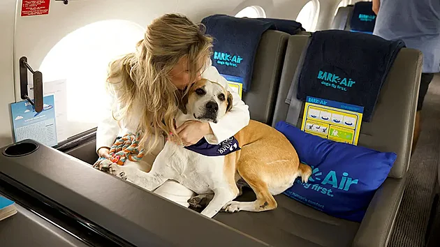 Leteck spolenost Bark Air peprav psy i jejich majitele.  (15. dubna 2024)