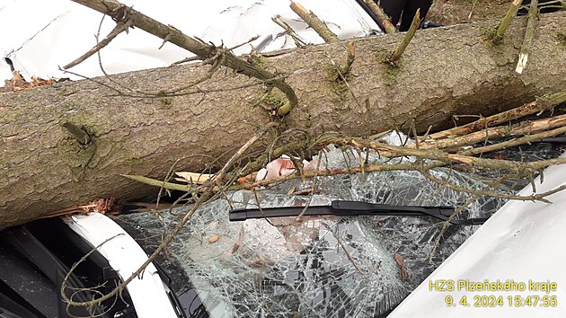 Na Rokycansku spadl strom pmo na projdjc auto. idika zstala v aut zaklnn.