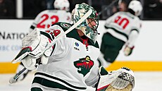 Branká Minnesota Wild Marc-André Fleury.