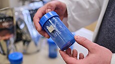 Pokusy s t�bou �eleza �i p�stováním rostlin ve vesmíru jsou sou�ástí festivalu...