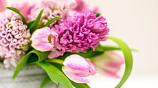 Zahrádká�ská výstava Zahrada V�ky op�t otevírá své brány náv�t�vník�m