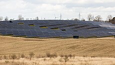 Fotovoltaická elektrárna u polského Swiebodzinu (8. dubna 2022)