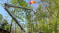 Hasii stahují paraglidistu, který uvázl v korun stromu patnáct metr nad...