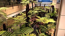 Singapurské leti�t� Changi p�edstavuje oázu klidu pro cestující. (31. ledna...