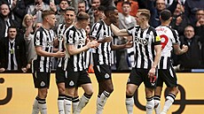 Fotbalisté New Castlu se radují z gólu v utkání s Tottenhamem.
