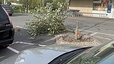 Plody hruní v sezon sklizn padaly na zaparkovaná auta zákazník.