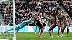 Závar v pokutovém území v utkání mezi Newcastlem a Tottenhamem.