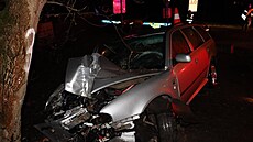 Osobní auto bouralo ve Vrchovinách do stromu. (11. bezna 2024)