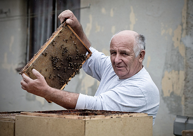Med z Prahy trumfne ten z vesnice, kde jsou jen krátké trávníky, říká včelař