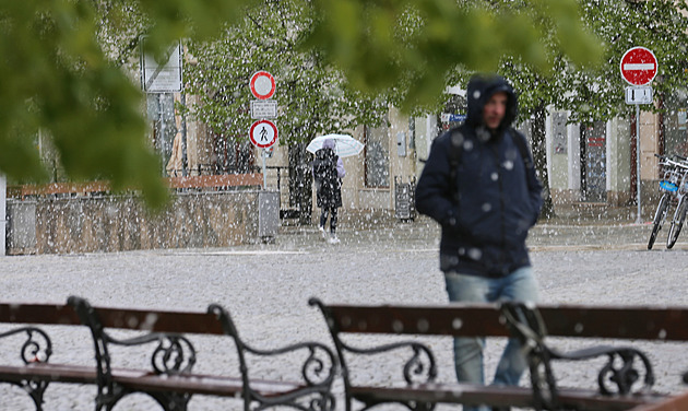 Ovocnářům hrozí bankroty. Mrazy ceny určitě ovlivní, hlavně jablek, říká jejich šéf