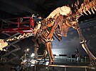 Do jednoho zábru se titanosaurus z newyorského Muzea pírodní historie zkrátka...