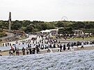 Na jae míí do parku krom turist i stovky fotograf, poádají se zde svatby...