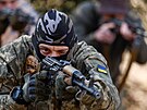 Cviení 3. samostatné útoné brigády ukrajinských ozbrojených sil (23. dubna...