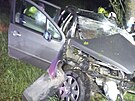 Pi nehod peugeotu na Trutnovsku zemel devatenctilet idi (20. dubna 2024).