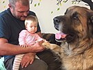 Bohumil Strnsk z Heben pomh hendikepovanm pomoc leonberger.