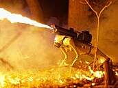 Robotický pes Thermonator s plamenometem od americké spolenosti Throwflame...