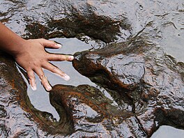 U� p�ta�edesát milion� let se po povrchu na�í planety neprochází. Ale to...