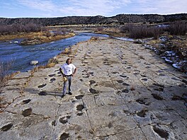 Coloradské Picketwire Canyonlands jsou milým zastavením na dinosau�í stezce....