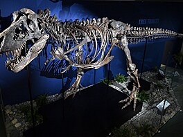 Nav�tívit �výcarské Sauriermuseum v Aathalu je skoro povinnost. Hlavním tahákem...