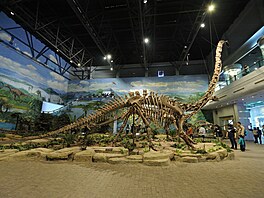 �ínské Muzeum dinosaur� v Zigong jde naproti t�m, kte�í si cht�jí prohlédnout...
