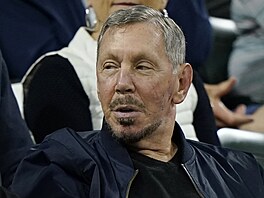 Spoluzakladatel softwarové spolenosti Oracle Larry Ellison