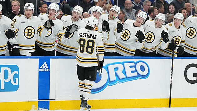 tonk Boston Bruins David Pastrk (slav gl proti Toronto Maple Leafs.
