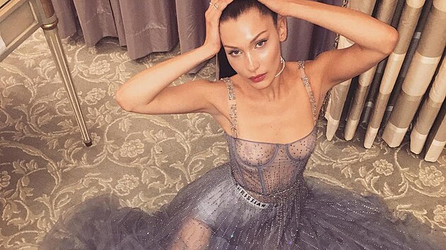 V roce 2017 vynesla modelka Bella Hadidová na veírek Cristiana Diora zcela...
