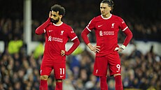 ROZPAKY. Mohamed Salah (vlevo) a Darwin Nuez z Liverpoolu.