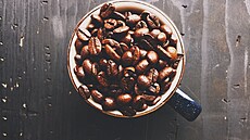 Zrnková káva od Starbucks