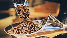 Zrnková káva od Starbucks