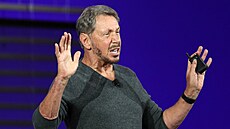 Spoluzakladatel softwarové spole�nosti Oracle Larry Ellison