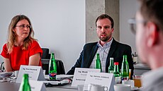 Pozitiva: O pínosu informaního kanálu, kterým mohou zamstnanci informovat o...