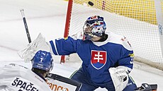 eský hokejista David paek pekonává slovenského gólmana Stanislava korvánka.