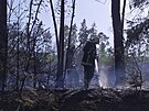 U Horn Cerekve na Pelhimovsku hoelo 12 hektar lesa, byl vyhlen tet...